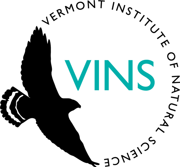 VINS
